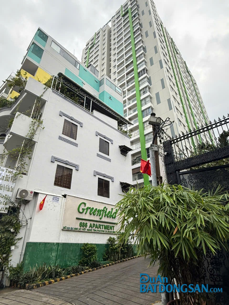GreenField 686