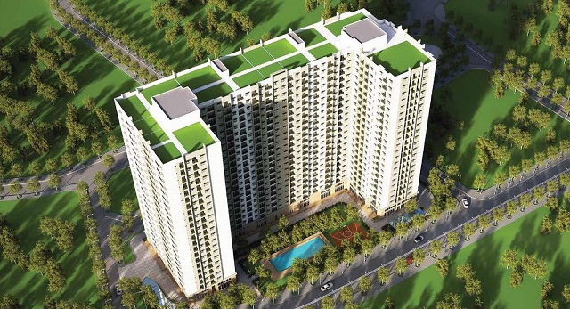 Ecohome Phúc Lợi
