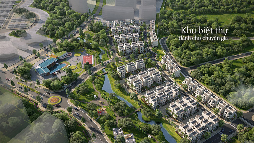 Khu nhà ở và dịch vụ chuyên gia