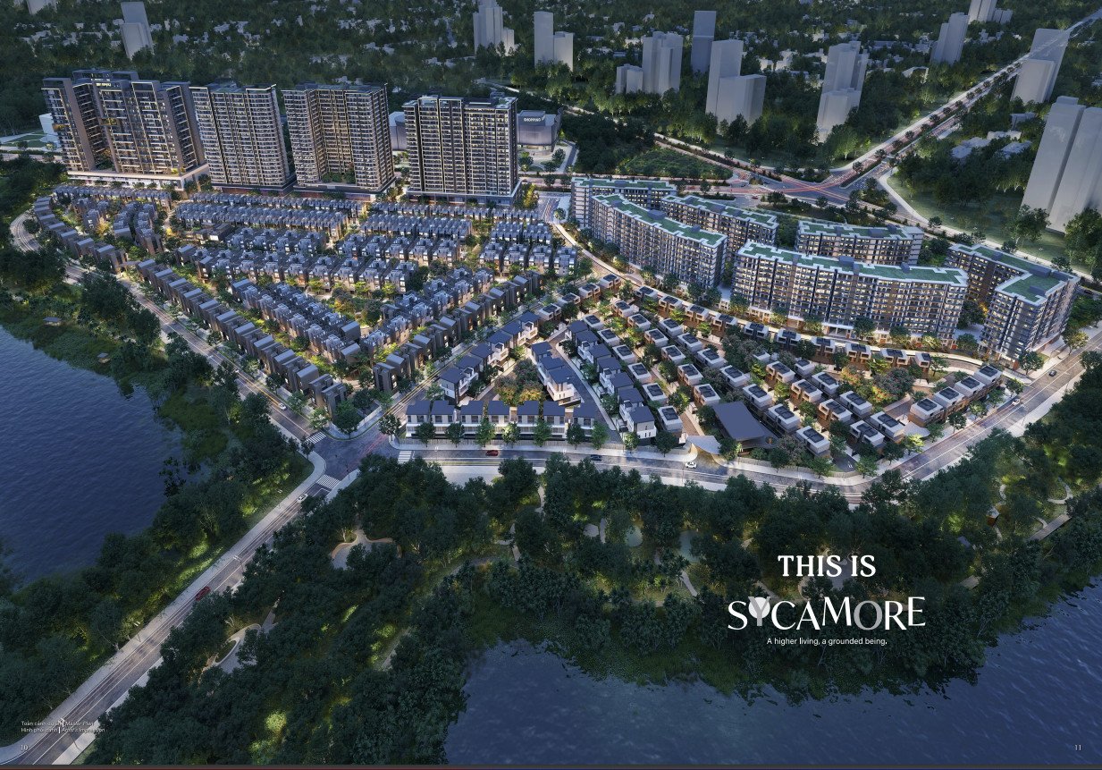 Sycamore