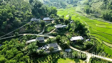 Tân Lạc Vàng
