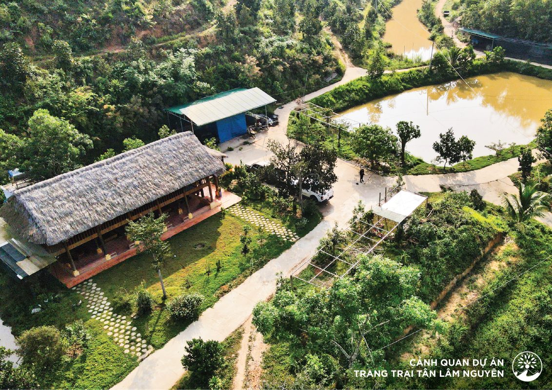 Tân Lâm Nguyên