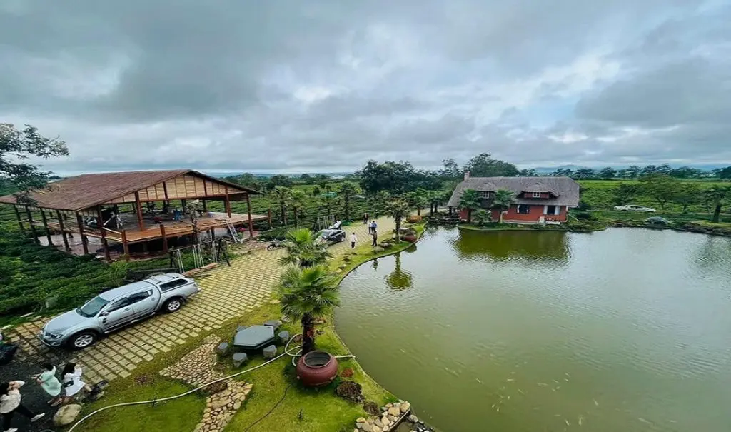 The Ocha Lâm Đồng